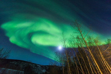 Aurora borealis, Northern Lights near Chena Resort, near Fairbanks, Alaska