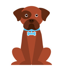 cute dog isolated icon design