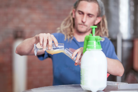 Man in microbrewery quality checking craft beer