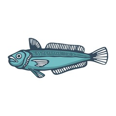 marine deep-water fish. vector illustration