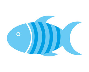 Obraz premium fish pet isolated icon design