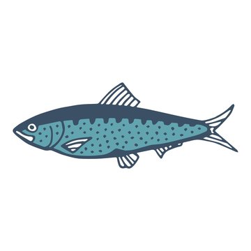 sardine fish. vector illustration