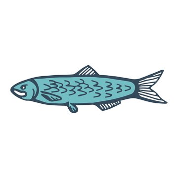 fish Herring. vector illustration