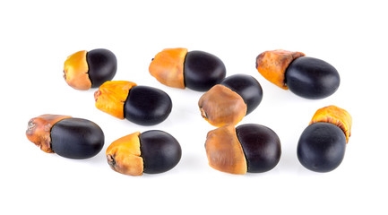 Ormosia (Makha) Seeds on white background