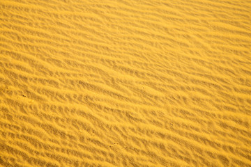africa  brown sand dune