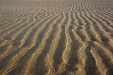 Fototapeta na wymiar Sand lines