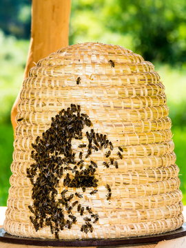 Ein Bienenkorb mit Bienen vor dem Flugloch