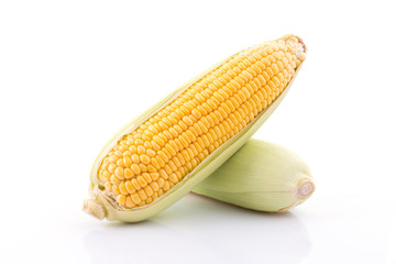 corn cob isolated on white background with. with green leaves