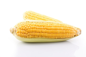 corn cob isolated on white background with. with green leaves