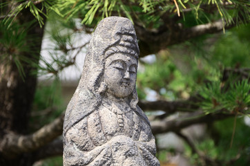 Fototapeta na wymiar Stone Buddha under pine tree, Kyoto Japan. 観音さま　京都
