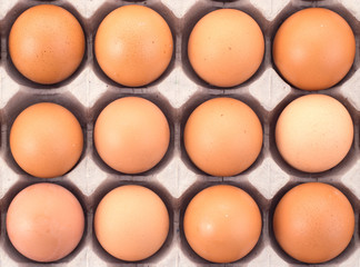 Chicken eggs in a box isolated on white background.