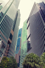 Obraz premium skyscrapers in city