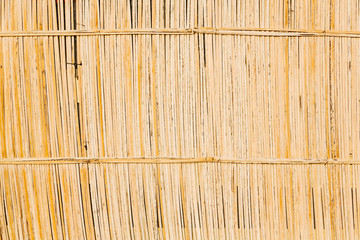 in oman abstract  texture