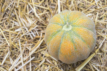 Melon on straw