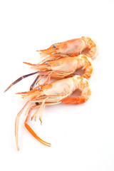 shrimp boil orange isolated on white background.