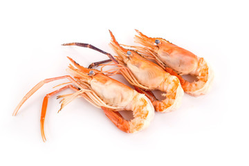 shrimp boil orange isolated on white background.