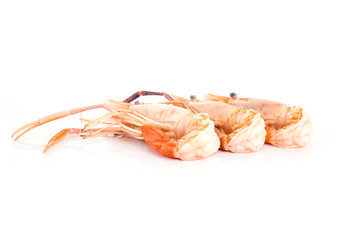 shrimp boil orange isolated on white background.