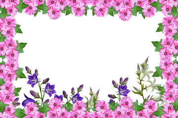 Naklejka na ściany i meble petunia flowers isolated on white background. bright flower