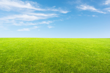 Fototapeta na wymiar fresh lawn and blue sky