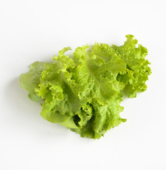 Organic food. green salad leaves isoladen on white