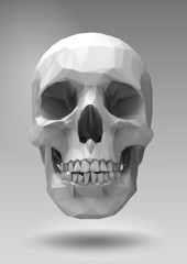 Low poly vector skull  in 3d render look