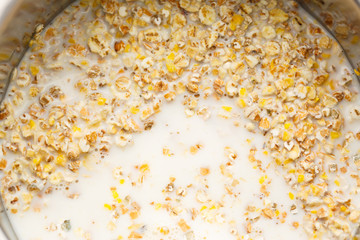 Healthy porridge