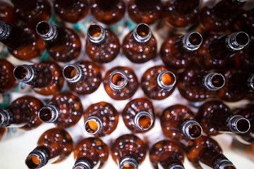 Empty beer bottles at bewery