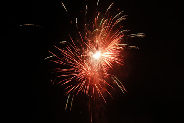 Firework