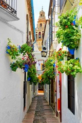 Fototapeta na wymiar Famous flower filled lane in the Old Town of Cordoba, Spain with cathedral tower