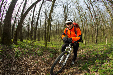 Biker on the forest road