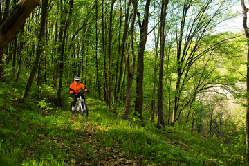 Naklejka premium Biker on the forest road