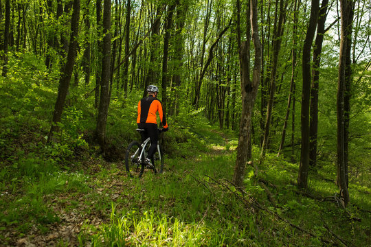 Biker on the forest road