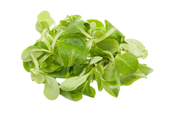 Fresh field salad isolated on white background