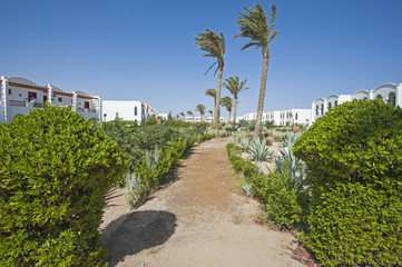 Gardens in grounds of a tropical hotel resort