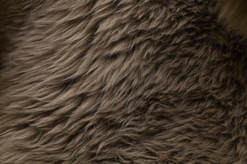 The texture of fur. Natural. Fiber. Close.
