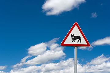 Warning sign an animal on the road 