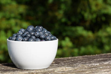 Fresh blueberries in a white bowl, on a deck railing with greenery in the background
