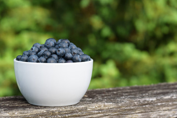 Fresh blueberries in a white bowl, on a deck railing with greenery in the background
