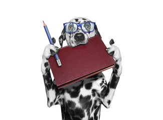 dog in eyeglasses holding a book in his mouth and a pencil