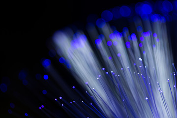 Bunch of optical fibres