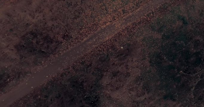 Aerial shot of A path or trail going along the river bank. Moscow suburbs, Strogino district, Russia.