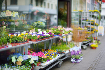 Beautiful colorful flowers sold on outdoor flower shop in Bremen