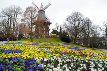 Famous Am Wall Windmill, an important and iconic building in Bremen