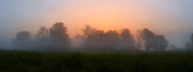 Obraz premium Forest in the mist at sunrise.