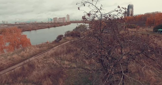 Aerial shot of golden trees on river bank during autumn season. People walking along the footpath near river bank. Moscow suburbs, Strogino district, Russia.