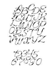 Handdrawn vector font in black and white, isolated on white background. Letter sequence from a to z and numbers from 0 to 9. Hand drawn with brush painted abc letters, good for lettering, quote design