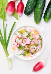 Traditional russian soup soup with radish, cucumber, and dill, t