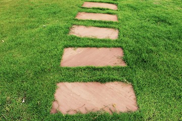 Grass way © June