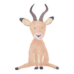 Antelope Animal Watercolor Hand-painted Illustration Isolated on the white