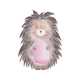 Hedhehog Woodland Watercolor animal Hand-painted Illustration Cute